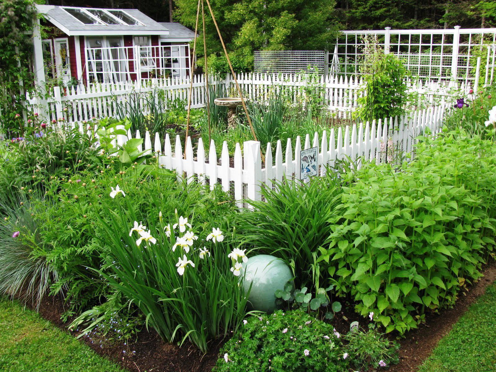 classy-image-vegetable-garden-fence-ideas-together-with-small-vegetable-garden-fence-fence-ideas-fence-ideas_garden-fence-ideas